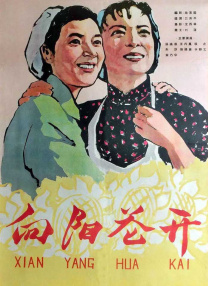 兄长夫人的秘密